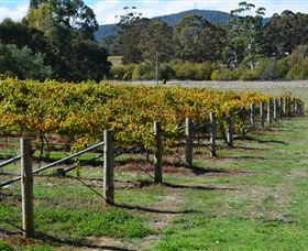 Mountainside Wines - Attractions 1