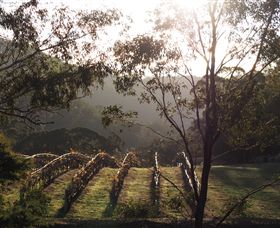 Mountainside Wines - Attractions 3