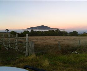 Mountainside Wines - Attractions 2