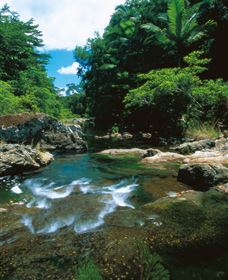 Cedar Creek Falls - Attractions 1