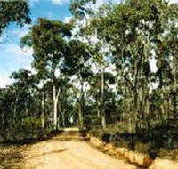 Paddys Ranges State Park - Attractions