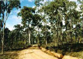 Paddys Ranges State Park - Attractions 0
