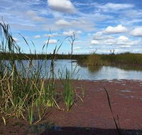 Gwydir Wetlands - Attractions
