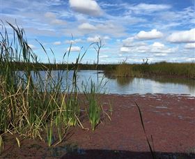 Gwydir Wetlands - Attractions 0