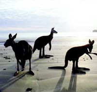 Hibiscus Coast - Attractions
