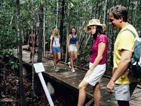 Hibiscus Coast - Attractions 3