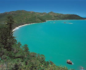 Hibiscus Coast - Attractions 2