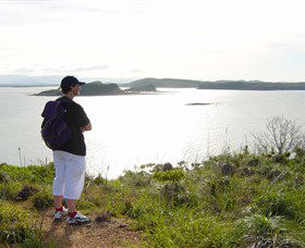 Hibiscus Coast - Attractions 1