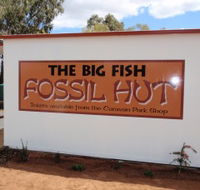 Big Fish Fossil Hut at Peak Hill - Attractions