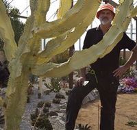 Cactus Country - Attractions
