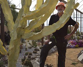 Cactus Country - Attractions 0