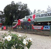 The Big Strawberry - Attractions