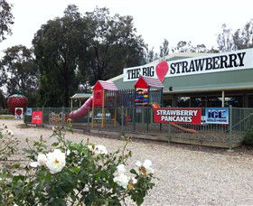 The Big Strawberry - Attractions 0