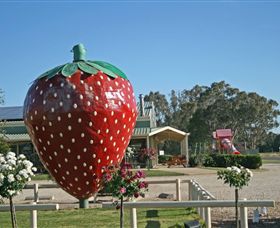 The Big Strawberry - Attractions 2