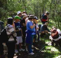 Warrumbungle National Park Discovery Program - Attractions