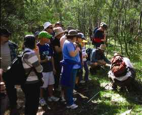 Warrumbungle National Park Discovery Program - Attractions 0