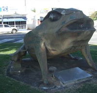 Big Cane Toad - Attractions