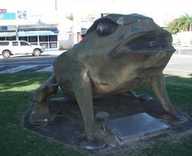 Big Cane Toad - Attractions 0