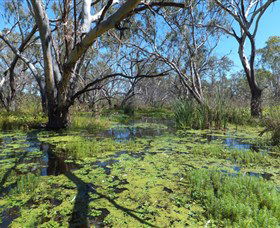 Macquarie Valley Trails - Attractions 0