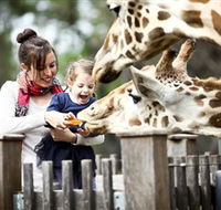 Taronga Western Plains Zoo Dubbo - Attractions