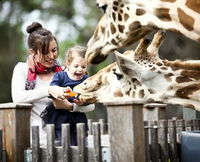 Taronga Western Plains Zoo Dubbo