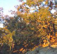 Mount Alexander Regional Park - Attractions