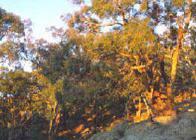 Mount Alexander Regional Park - Attractions 0