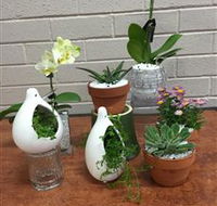 Cobram Florist - Attractions