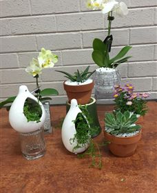 Cobram Florist - Attractions 0