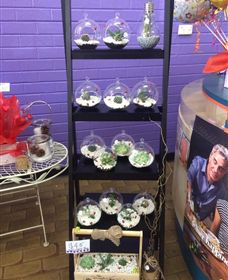 Cobram Florist - Attractions 3