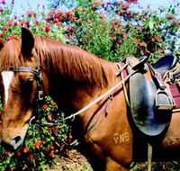 Western Plains Riding Centre - Attractions