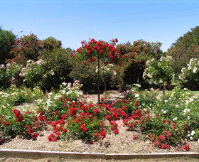 Barooga Botanical Gardens - Attractions 2