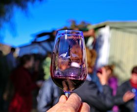 Domaine Asmara - Attractions 5