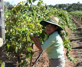 Domaine Asmara - Attractions 6