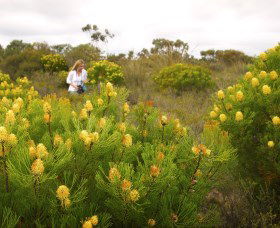 Fitzgerald Biosphere - Attractions Las Vegas 1