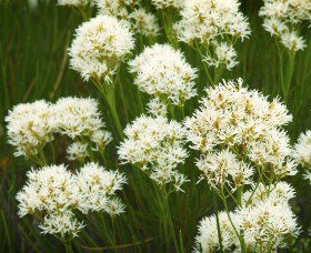 Fitzgerald Biosphere - Attractions Las Vegas 2