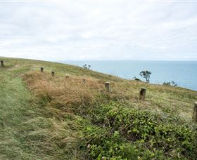 Cape Palmerston National Park - Attractions 3
