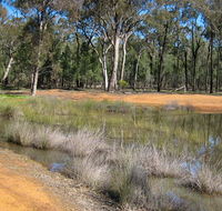 Beni State Conservation Area - Attractions