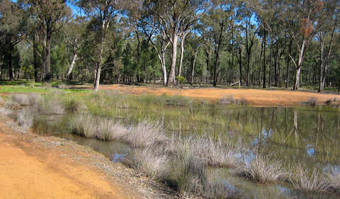 Beni State Conservation Area - Attractions 0