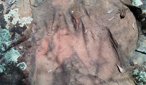 Beni State Conservation Area - Attractions 1