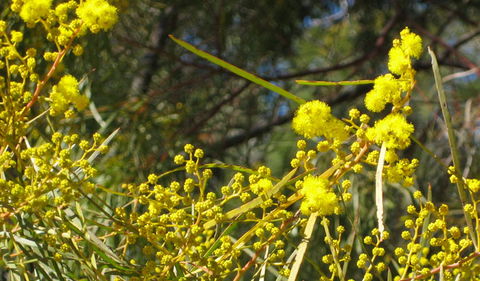 Beni State Conservation Area - Attractions 3