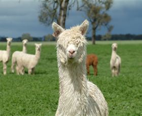 Creswick Woollen Mills - Attractions 1