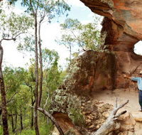 Pilliga National Park - Attractions