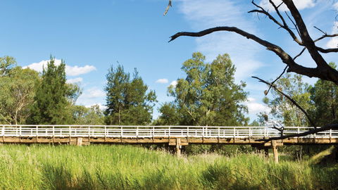 Pilliga National Park - Attractions 3