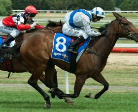 Ballarat Turf Club - Attractions 3