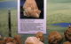 Crystal Kingdom - thumb 1