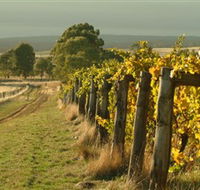 Captains Creek Organic Wines - Attractions