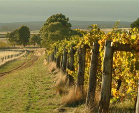 Captains Creek Organic Wines - Attractions Las Vegas 0