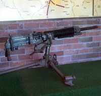 Woodpecker Gun - Attractions