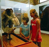 Australian Museum Diprotodon Exhibition - Attractions